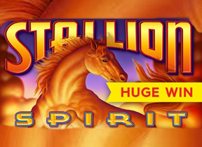 Stallion Spirit